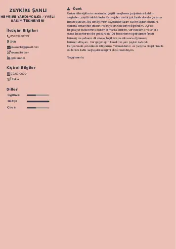 Hasta ve Yaşlı Bakım Elemanı Cv Örnekleri cv indir